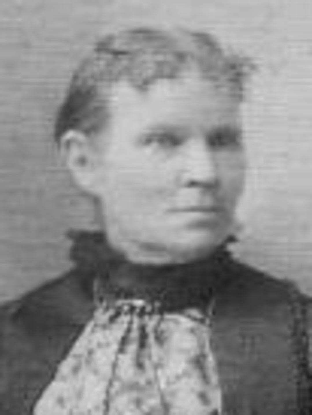 Emily Curtis Rogers (1842 - 1913) Profile